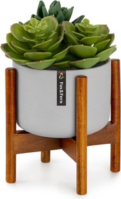 Fox & Fern Thorn, саксия, със стойка, стил 50-те, 2 размера