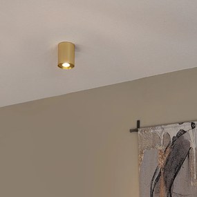 Прожектор златист/месинг наклоняем и въртящ се - Rondoo up