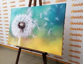 Картина на платно – Магическо глухарче