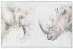 Картина DKD Home Decor Модерен Животни 60 x 3,5 x 80 cm (2 броя)