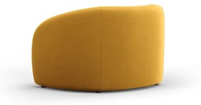 Кадифено кресло в цвят горчица Santi – Interieurs 86