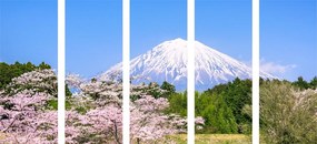 картини от 5 части – Вулканът Фуджи
