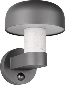 Стенно външно осветително тяло (височина 24,5 cm) Fraser – Trio