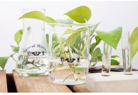 Стъклена ваза (височина 12 cm) Natural History – Esschert Design