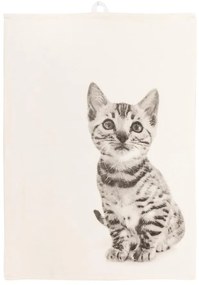 Памучна кърпа 70x50 cm Farm - Tiseco Home Studio