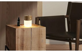 Електрически дифузер Smart – Gingko