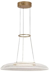 Rabalux 72411 - LED полилей на кабел ZOFRAEL LED/24W/230V 3000K