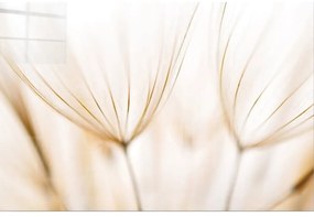 Картина върху стъкло 100x70 cm Fluff - Wallity