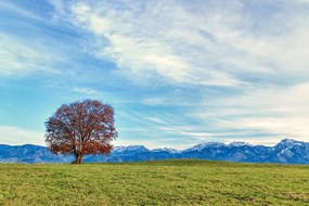 Фототапет – Панорама на планините