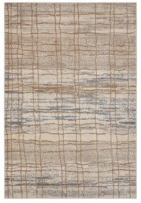 Бежов килим 120x170 cm Terrain – Hanse Home