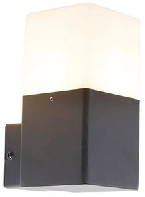 Външна стенна лампа черна с опушено бяло стъкло IP44 - Denmark