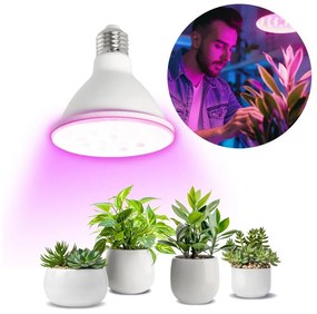 LED Крушка за растения PLANTY E27/9W/230V 1200K бял