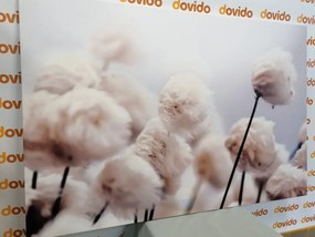 Картина на платно – Арктически цветя от памук
