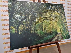 Картина на платно – Приказна гора