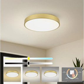 Brilagi - LED таванен осветител POOL LED/60W/230V 3000/4500/6000K, диаметър 60 см, златист