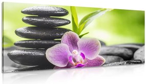 Картина на платно – Тропическа Зен композиция
