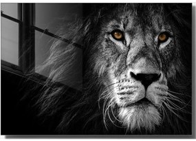 Картина върху стъкло 70x50 cm Lion - Wallity