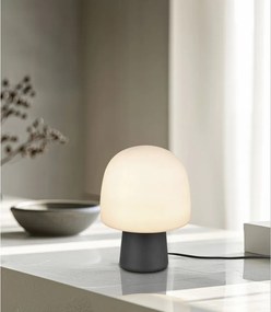 Черно-бяла настолна лампа със стъклен абажур (височина 27 cm) Steen – Trio