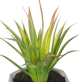 Изкуствено растение atmosphera Succulent, 14 cm, Различни видове