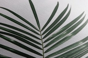 Картина на платно – Невероятен палмов лист