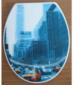 Тоалетна седалка ICST 780