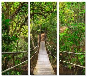 Картини в комплект от 3 бр. 20x50 cm Forest - Wallity