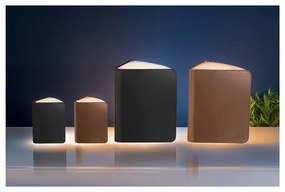 Черна светлинна декорация с USB Booklight – Gingko