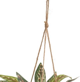 Изкуствено растение (височина 25 cm) – Casa Selección