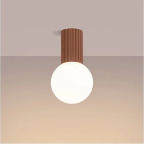 Светлокафяво осветително тяло за таван със стъклен абажур ø 12 cm Orbital – Sollux