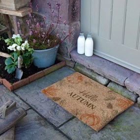 Изтривалка от кокосови влакна 40x60 cm Hello Autumn – Artsy Doormats