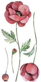 Декоративни стикери за стена Poppies S