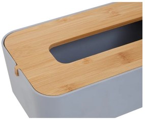 Пластмасова кутия за носни кърпички Canyon - Premier Housewares