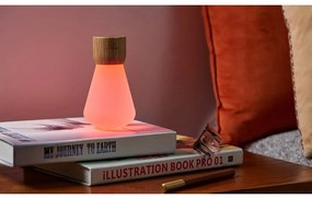 Настолна лампа с възможност за затъмняване в естествен цвят (височина 13 см) Pentagon - Gingko