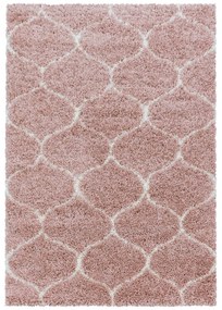 Розов килим 160x230 cm Salsa – Ayyildiz Carpets