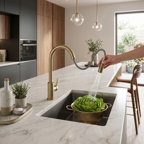 Смесител за кухня REA Ontario Brush Gold