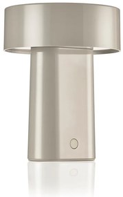 Сиво-бежова пластмасова LED настолна лампа (височина 18 cm) Oblong – Zone