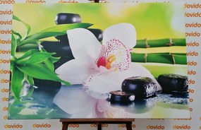 Картина на платно – Японска орхидея