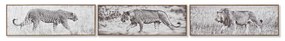 Картина DKD Home Decor (90 x 4 x 30 cm) (3 pcs)