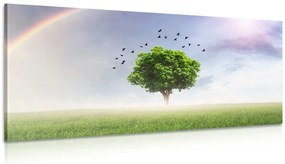 Картина на платно – Самотно дърво на ливада