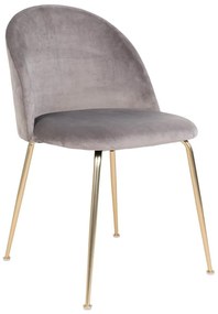 Светлосиви кадифени трапезни столове в комплект от 2 броя Geneve - House Nordic