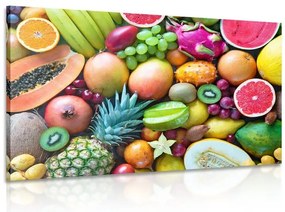 Картина на платно – Тропически плодове