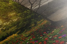 Картина на платно – Две форми на дърво