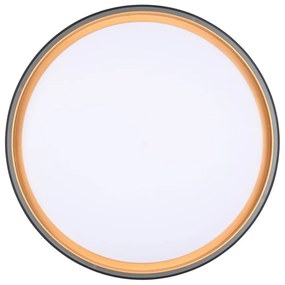 Черно LED осветително тяло за таван ø 40 cm Felis - Trio