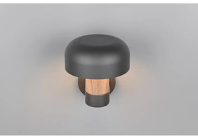 Стенно външно осветително тяло (височина 24,5 cm) Fraser – Trio