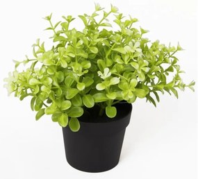 Изкуствено растение Чемшир в саксия