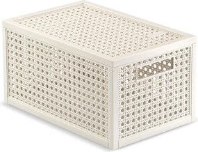 Кремава кутия за съхранение с капак от рециклирана пластмаса 19x30x15 cm Kaya – Curver