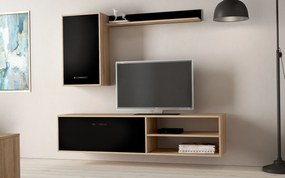 Секция Ремиса