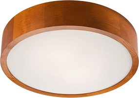 LED таванно осветително тяло LED/24W/230V