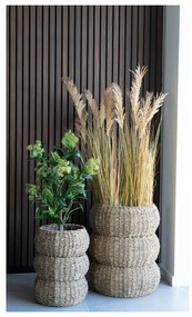 Изкуствено растение Skimmia - House Nordic