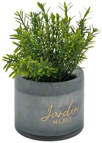 Изкуствено растение atmosphera Tayli Succulent, 18 cm, Различни видове